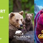 GAMOMAT Expands its Gaming for the Climate Initiative with the Launch of Great Grizzly